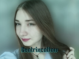 Beatrixcatlow
