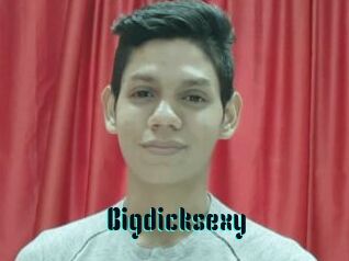 Bigdicksexy