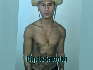 Bigdicksnake