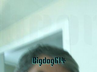Bigdog614