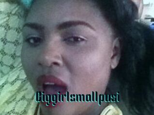 Biggirlsmallpusi
