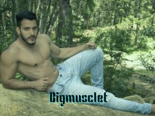 Bigmusclet