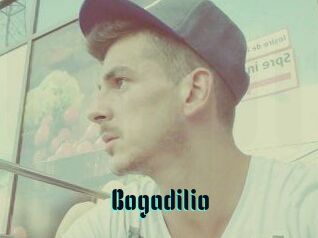 Bogadilio