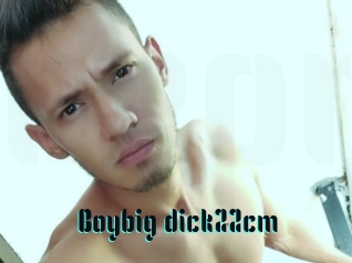 Boybig_dick22cm