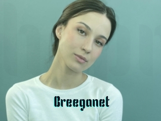 Breeganet