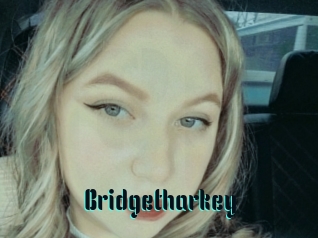 Bridgetharkey