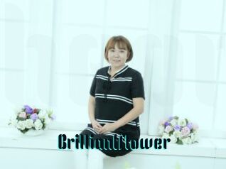 Brilliantflower