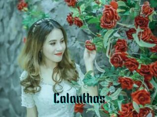 Calanthas