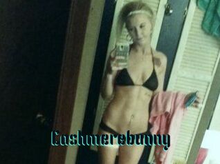 Cashmerebunny