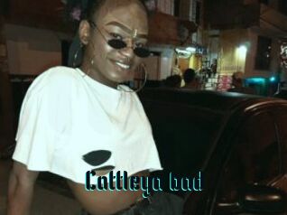 Cattleya_bad