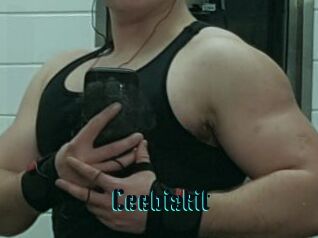 Ceebizkit