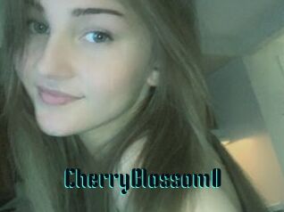 CherryBlossom0