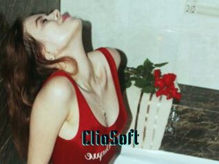ClioSoft