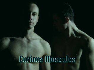 Curious_Muscules