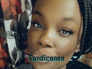 Candicanee