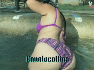 Canelacollins