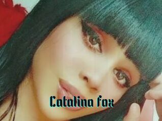 Catalina_fox