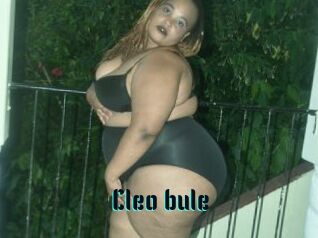 Cleo_bule