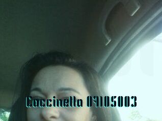 Coccinella-07105003