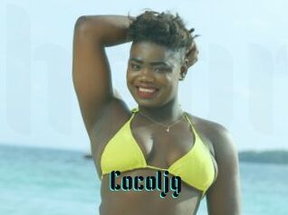 Cocoljg