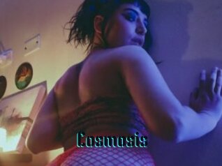 Cosmosis