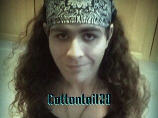 Cottontail28