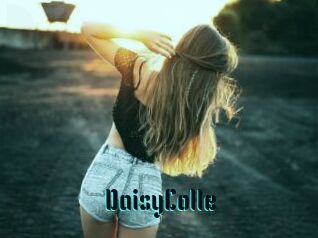 DaisyColle