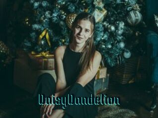 DaisyDandelion