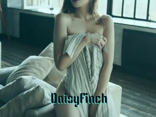 DaisyFinch