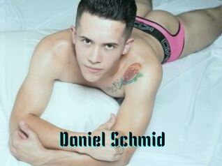 Daniel_Schmid