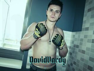 DavidVardy
