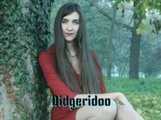 Didgeridoo