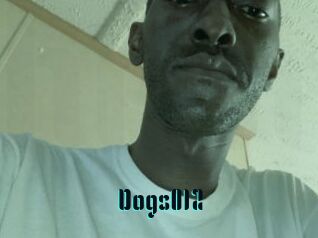 Dogs012