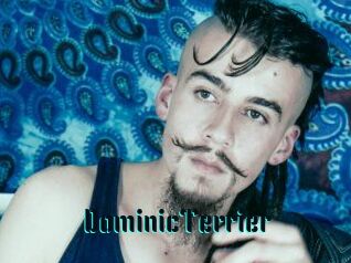 DominicTerrier