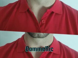 DommeNic