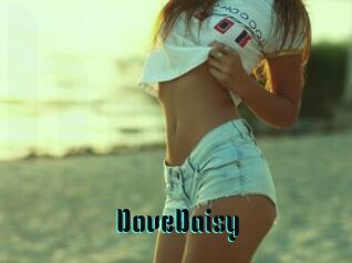 DoveDaisy