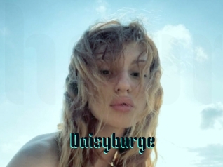 Daisyburge