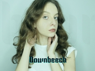 Dawnbeech