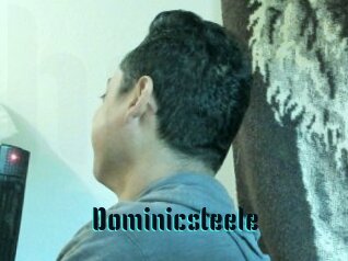 Dominicsteele