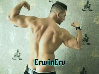 ErwinErv