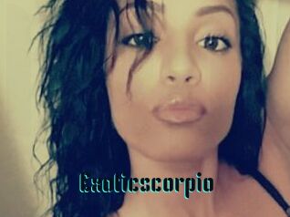 Exoticscorpio