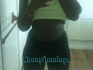 Ebony_flamingo