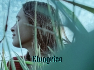 Elvagrise