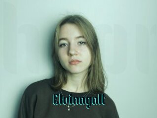 Elvinagalt