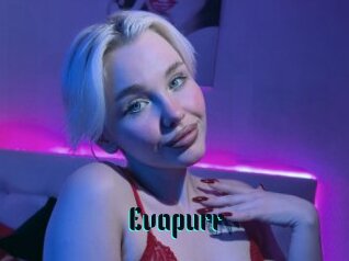 Evapurr