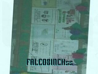 FALCO8INCHss