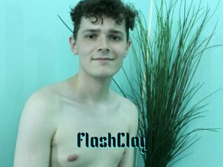 FlashClay