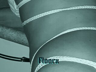 Floorx