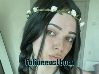 Falineeastburn