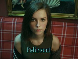 Felicecat